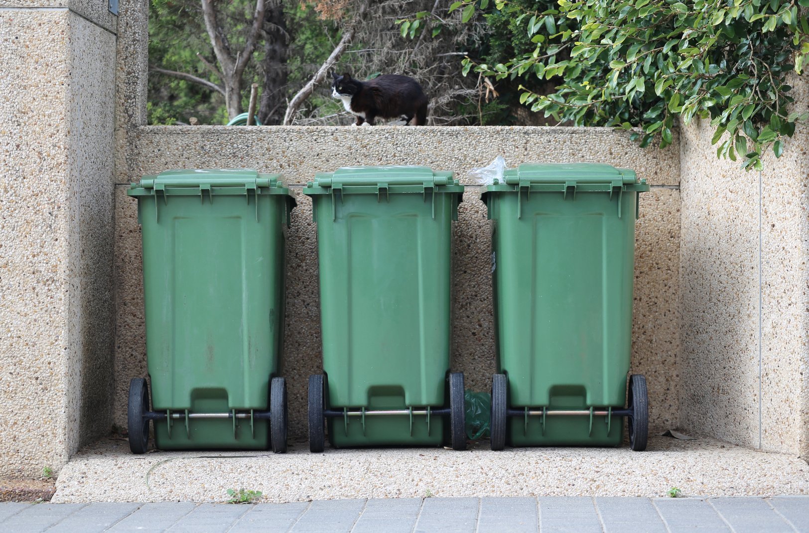 Three Trash Cans.